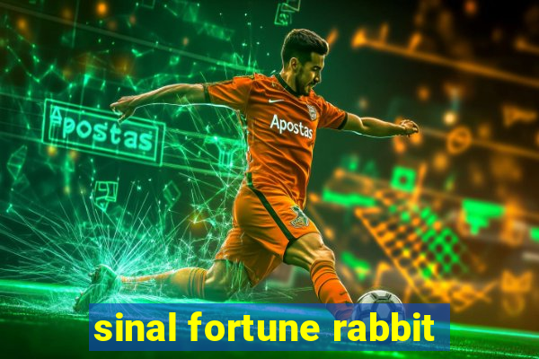 sinal fortune rabbit