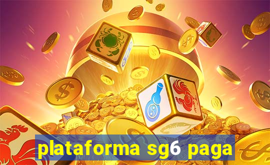 plataforma sg6 paga