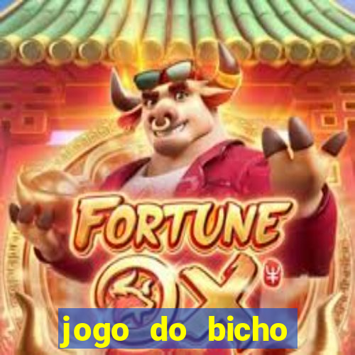 jogo do bicho feira de santana