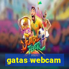 gatas webcam