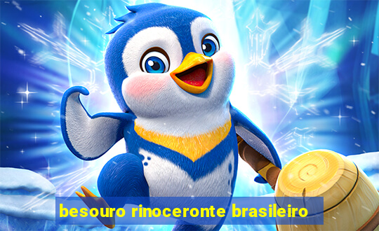 besouro rinoceronte brasileiro