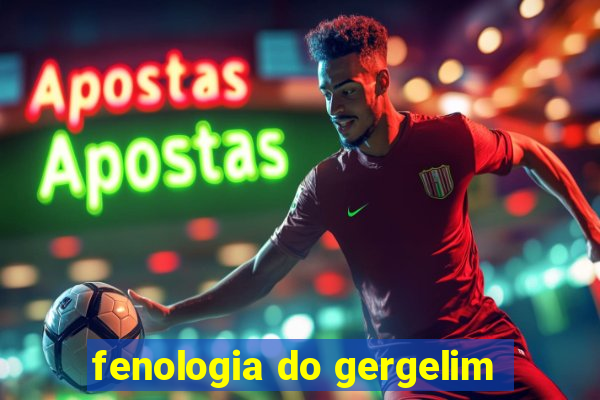 fenologia do gergelim