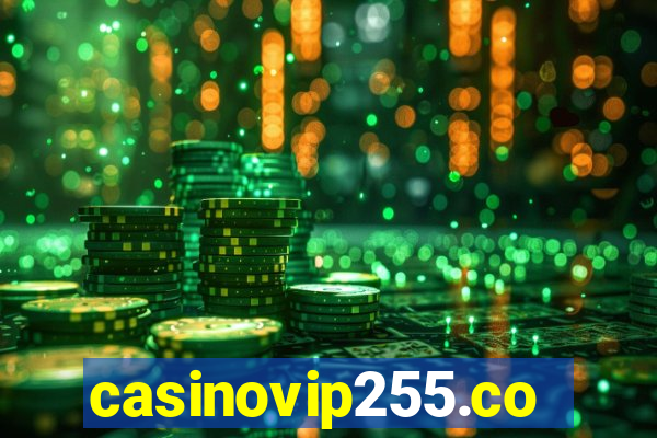 casinovip255.com