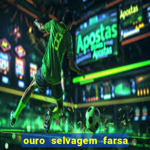 ouro selvagem farsa ouro selvagem o que aconteceu