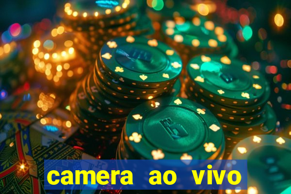 camera ao vivo terminal vila nova cachoeirinha