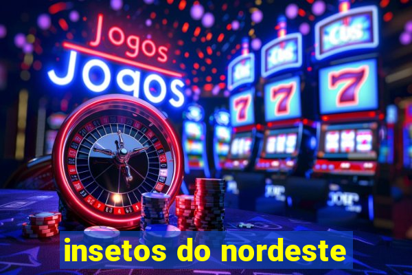 insetos do nordeste