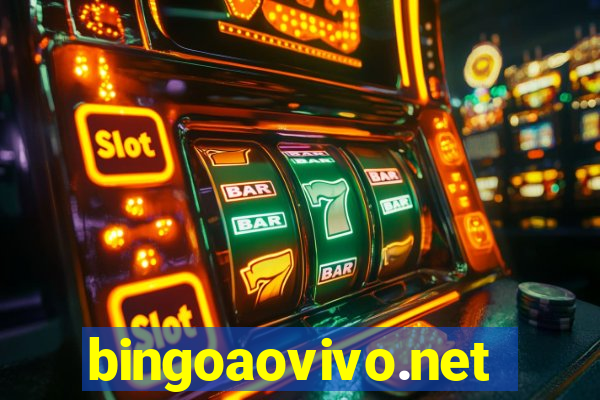 bingoaovivo.net