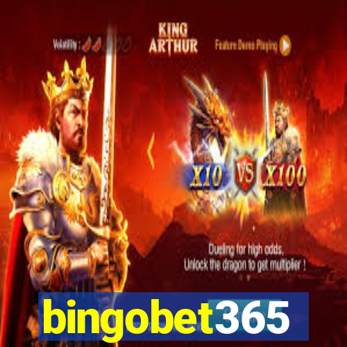 bingobet365