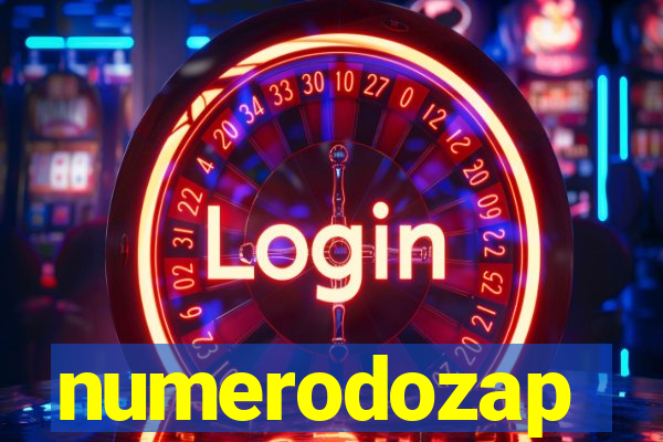 numerodozap